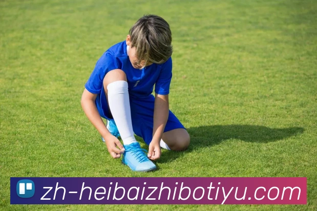 黑白直播体育发展历程